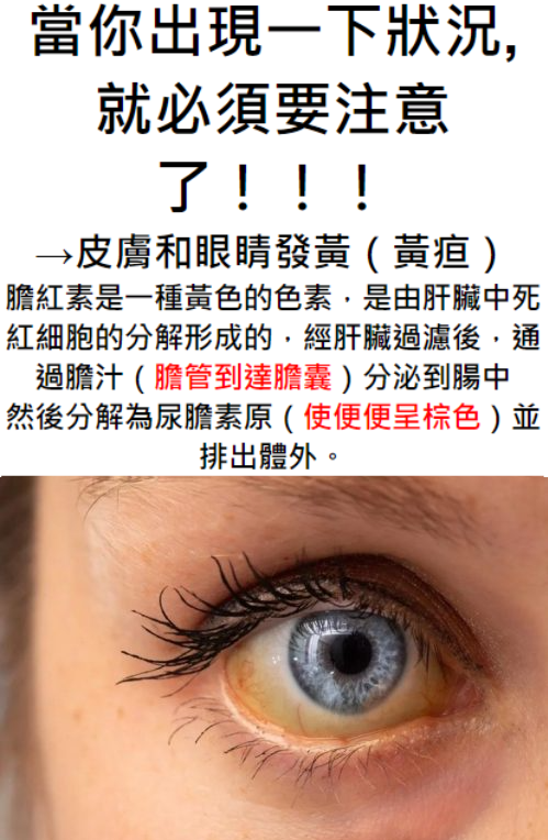 1762896023117797.png image.png