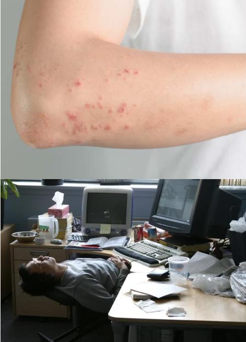 1762896053863289.png image.png