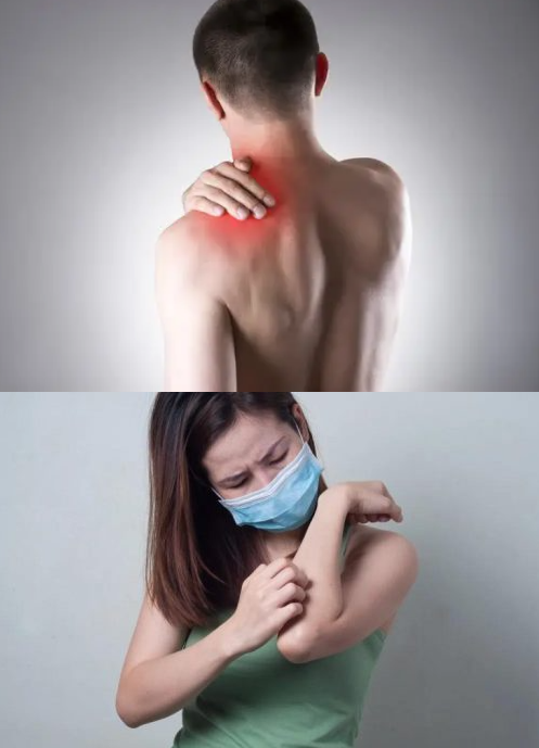 1762896145180170.png image.png